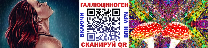 Галлюциногенные грибы Psilocybine cubensis  Нарткала 